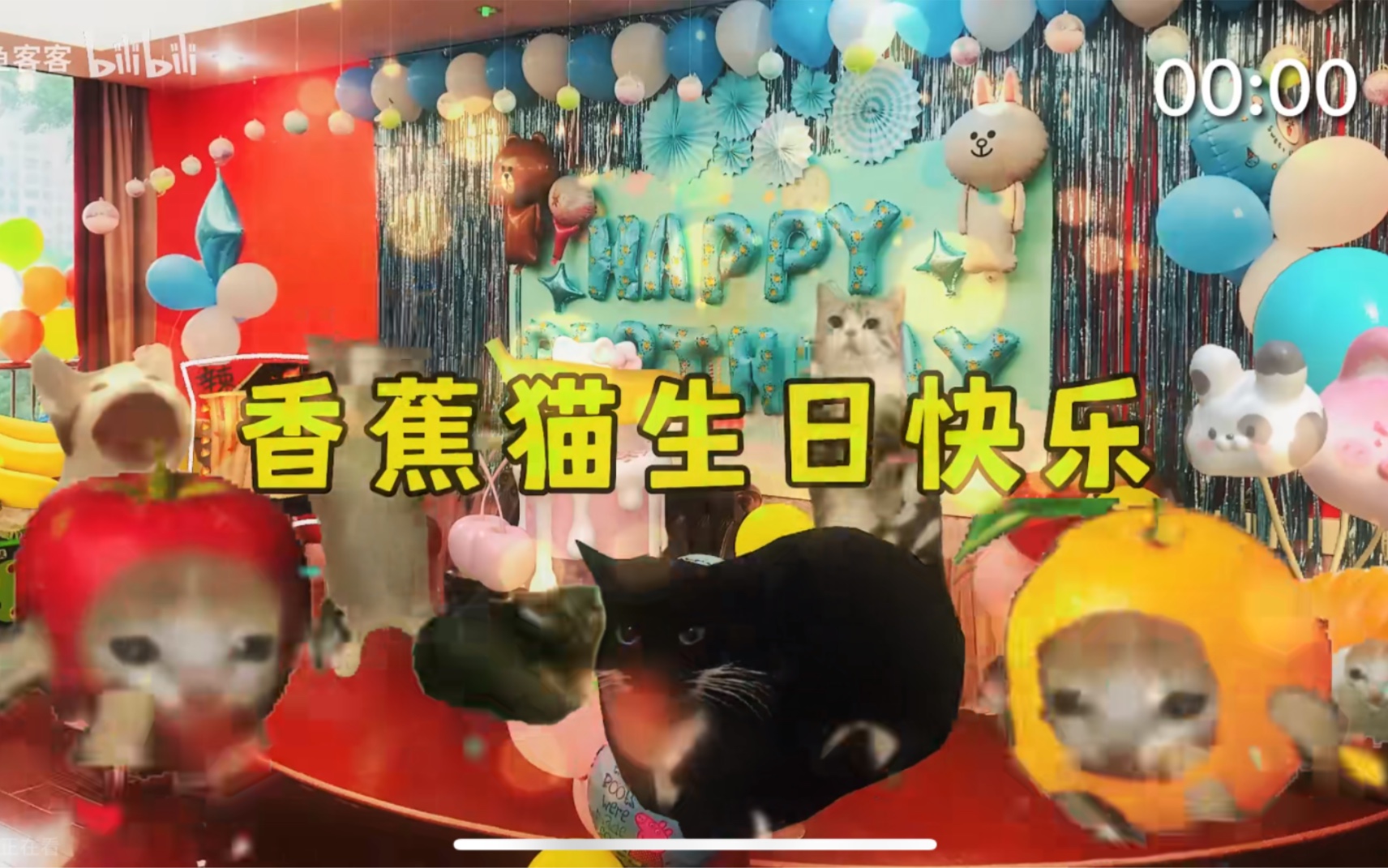 [图]今天香蕉猫生日，猫猫们想给香蕉猫一个惊喜...