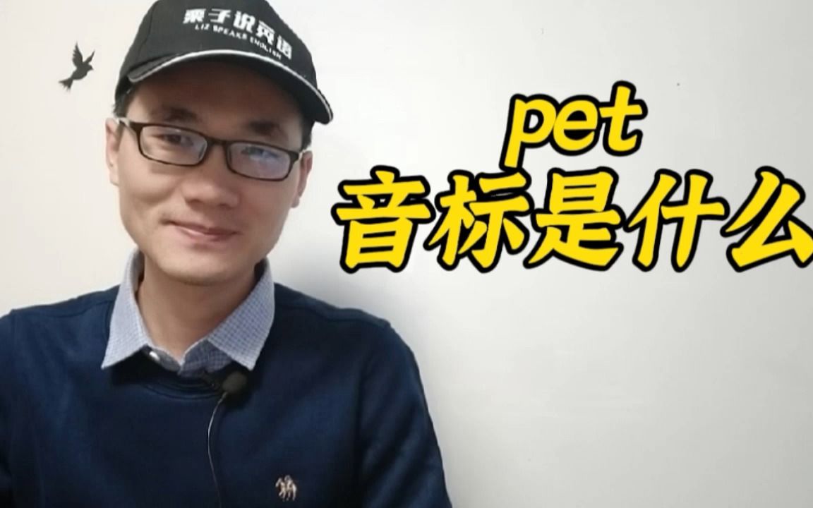 有同学问:pet这个单词的音标是什么?哔哩哔哩bilibili