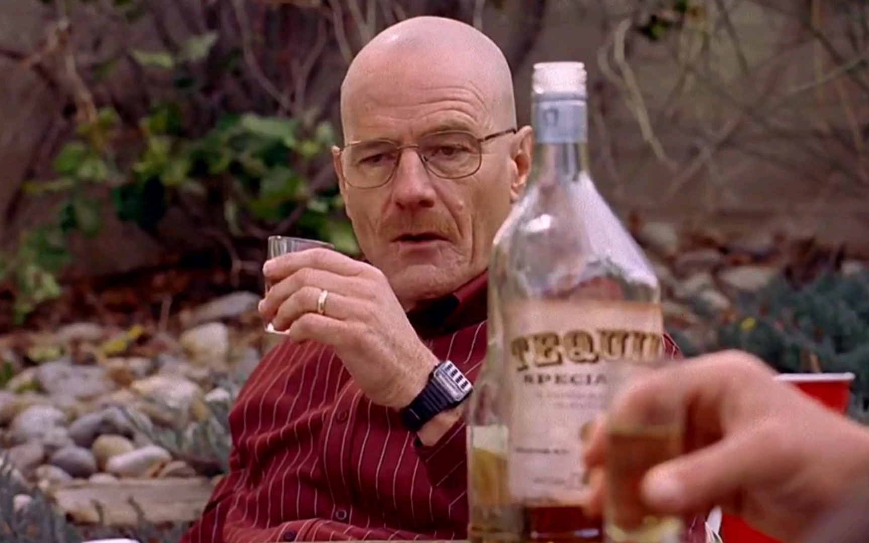 《绝命毒师6》这样的老白你怕了吗_哔哩哔哩 (゜-゜)つロ 干杯~-bili