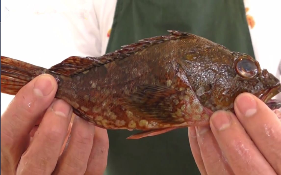 在日本吃鱼很多鱼都没见过看日本师傅怎么烹饪岩鱼的