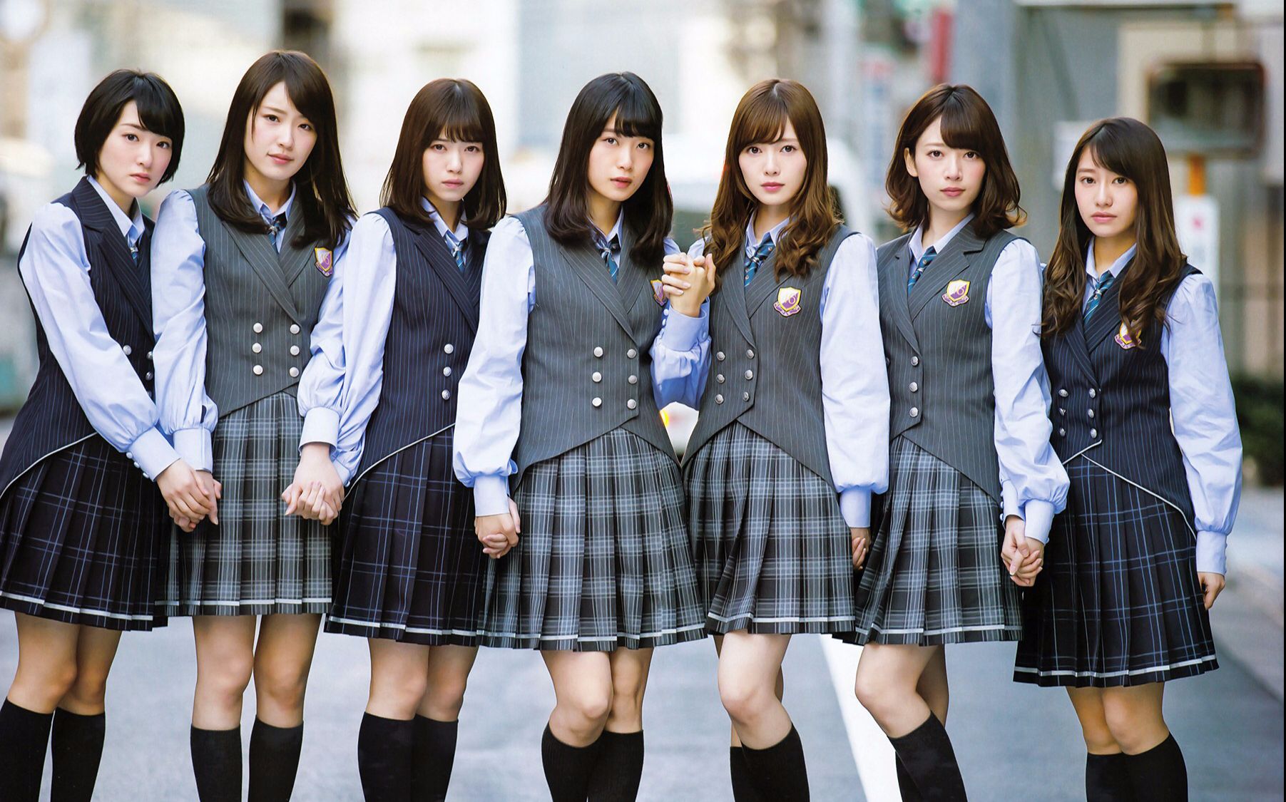【白花貓貓幼稚園字幕組「春紫苑盛開之時-乃木坂46【四周年神宫