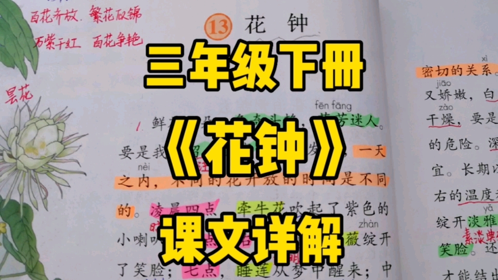 [图]三年级语文下册：《花钟》课文详解，一起去了解体会探索大自然与艺术的创新美吧！