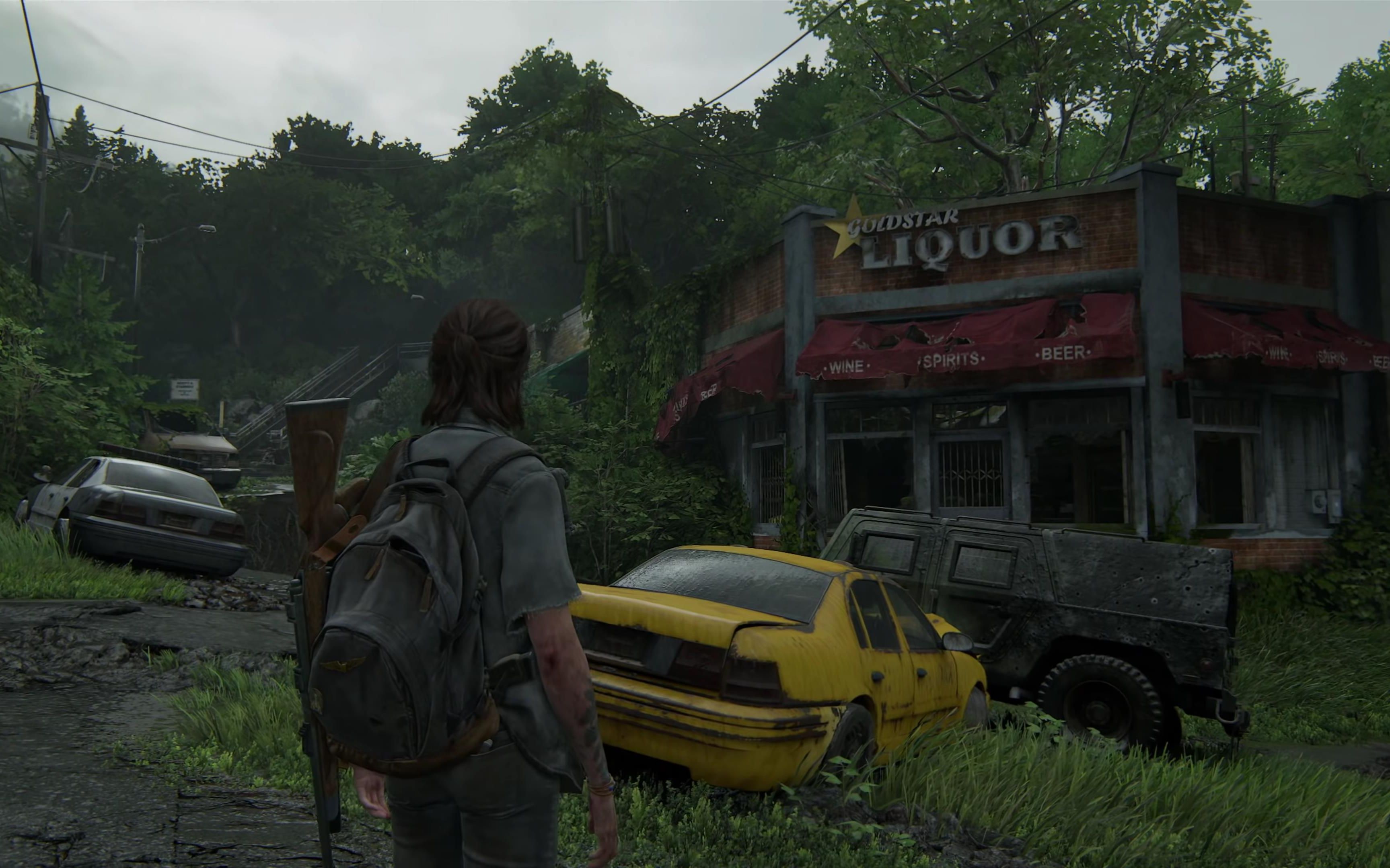 《最后生还者 第二部》ps4,ps4 pro运行对比视频(4k视频)