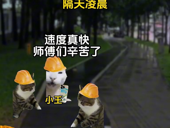 这是一座有温度的城市#猫meme小剧场#真实还原#深圳#正能量