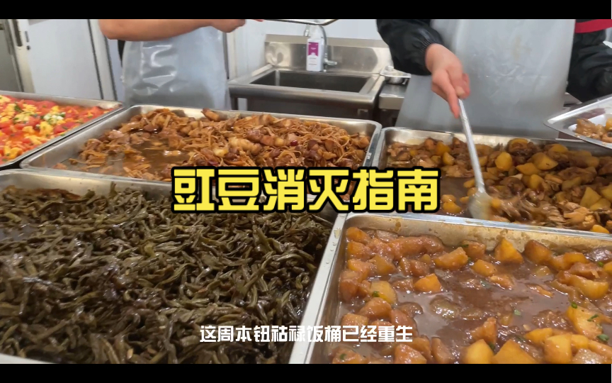 国企食堂免费午饭 D8哔哩哔哩bilibili