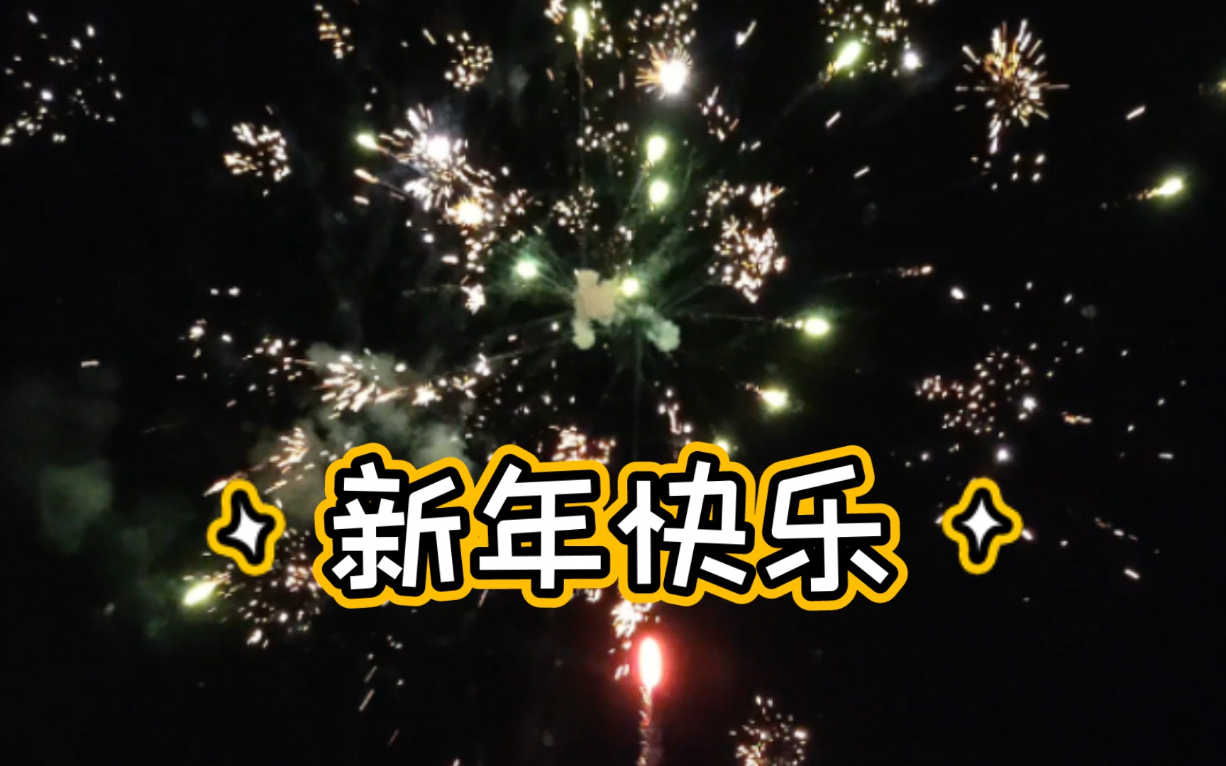 放烟花啦!新年快乐!龙年大吉!