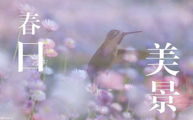 背景乐|春日美景温暖而治愈哔哩哔哩bilibili