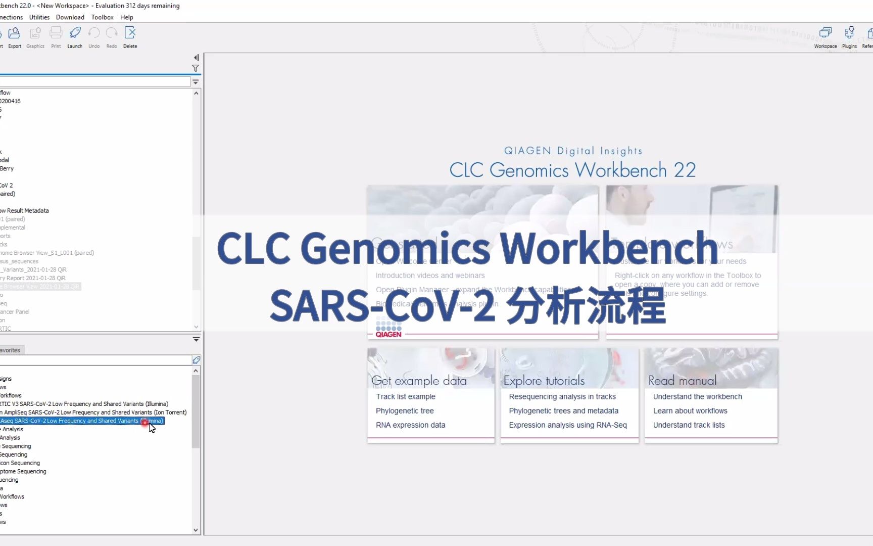 CLC Genomics Workbench 一站式SARSCoV2 和病原微生物基因组分析哔哩哔哩bilibili