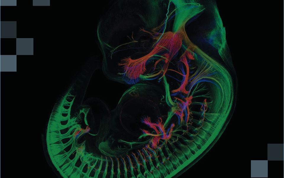 【科研进行时】基因治疗药物与生物制药哔哩哔哩bilibili