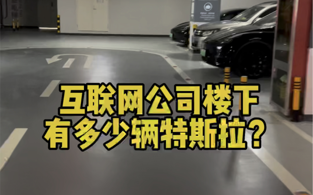 深圳互联网公司楼下停了多少辆特斯拉?走了一小圈,发现还真不少哔哩哔哩bilibili