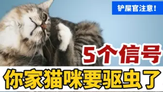 猫咪出现这5种情况，再不驱虫就晚了！