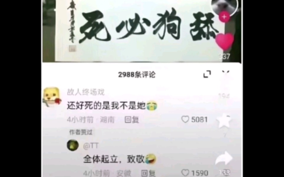 沙雕的吊图片(39)哔哩哔哩bilibili