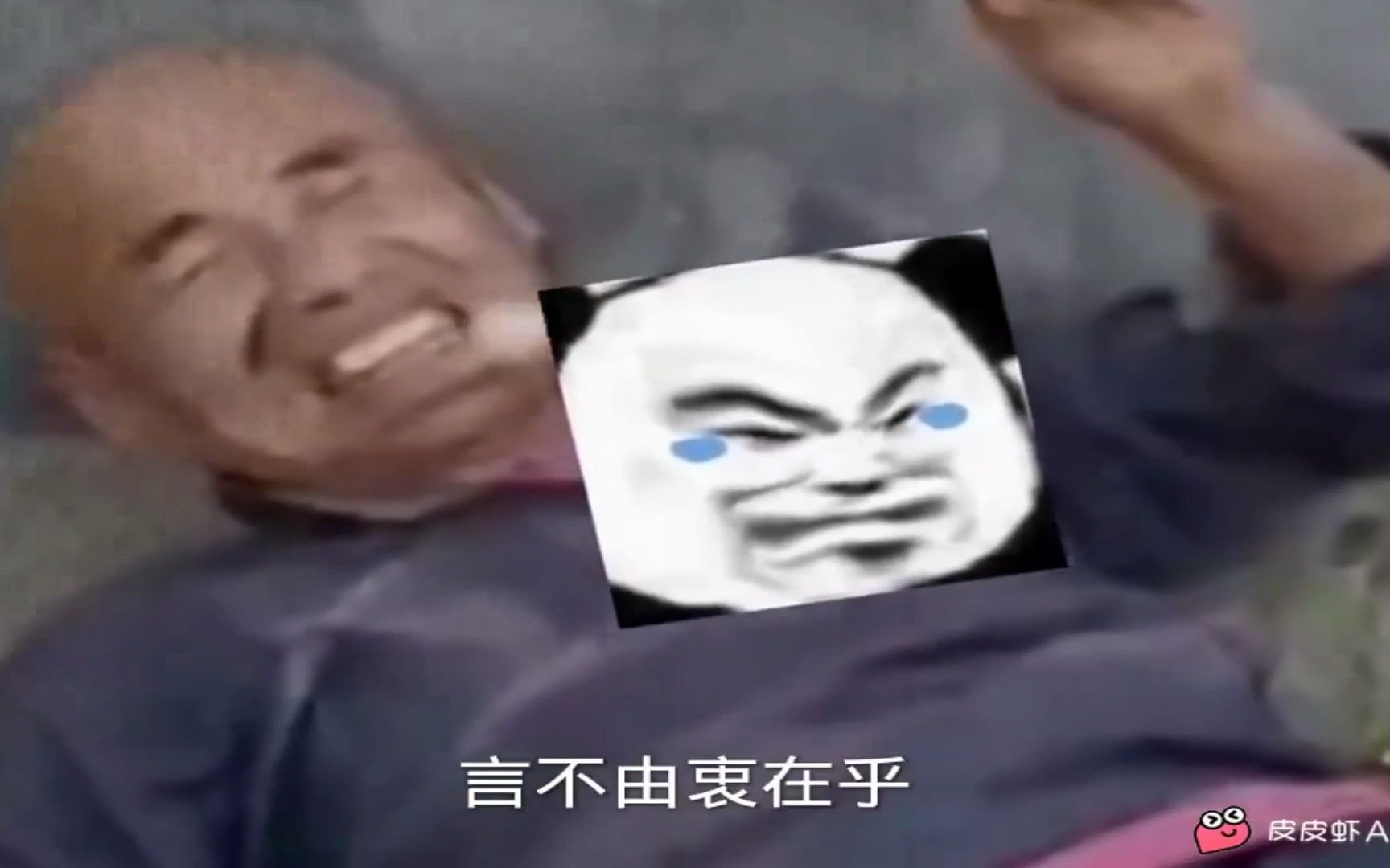 皮皮虾搞笑合集2哔哩哔哩bilibili