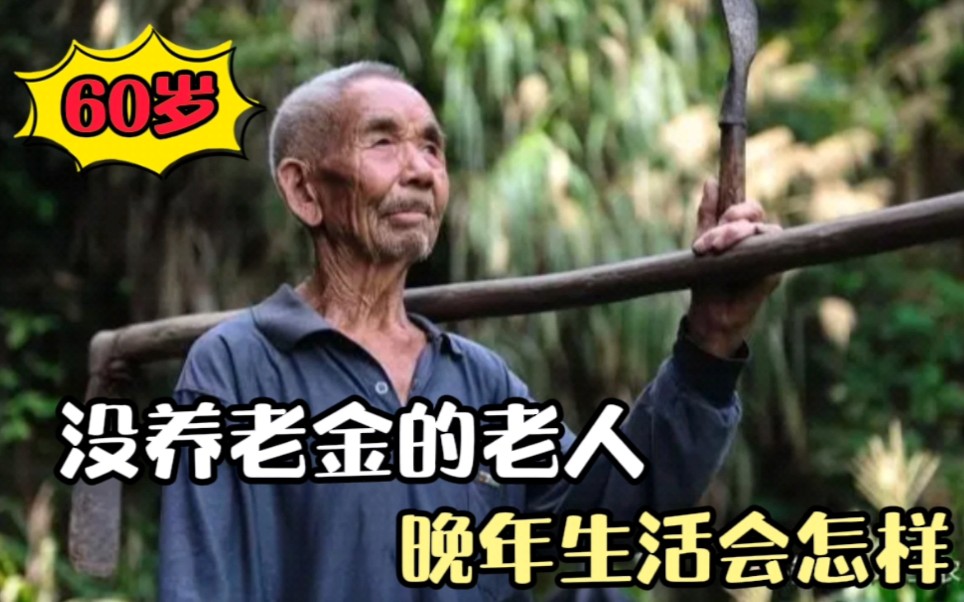 活动作品60岁没养老金的老人晚年生活会怎样