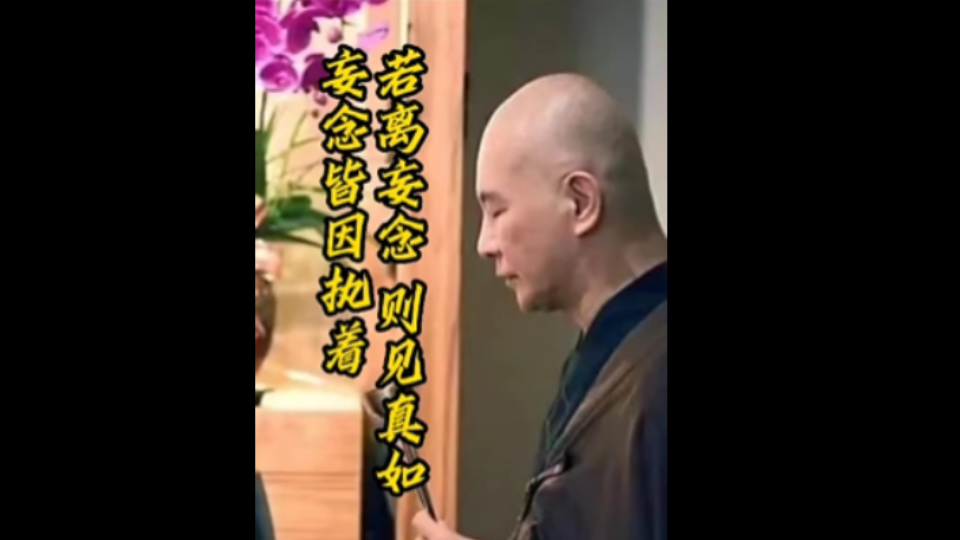 体佛法师的话令人醍醐灌顶,何为妄念?妄念皆因分别执着,若离妄念,则见真如哔哩哔哩bilibili