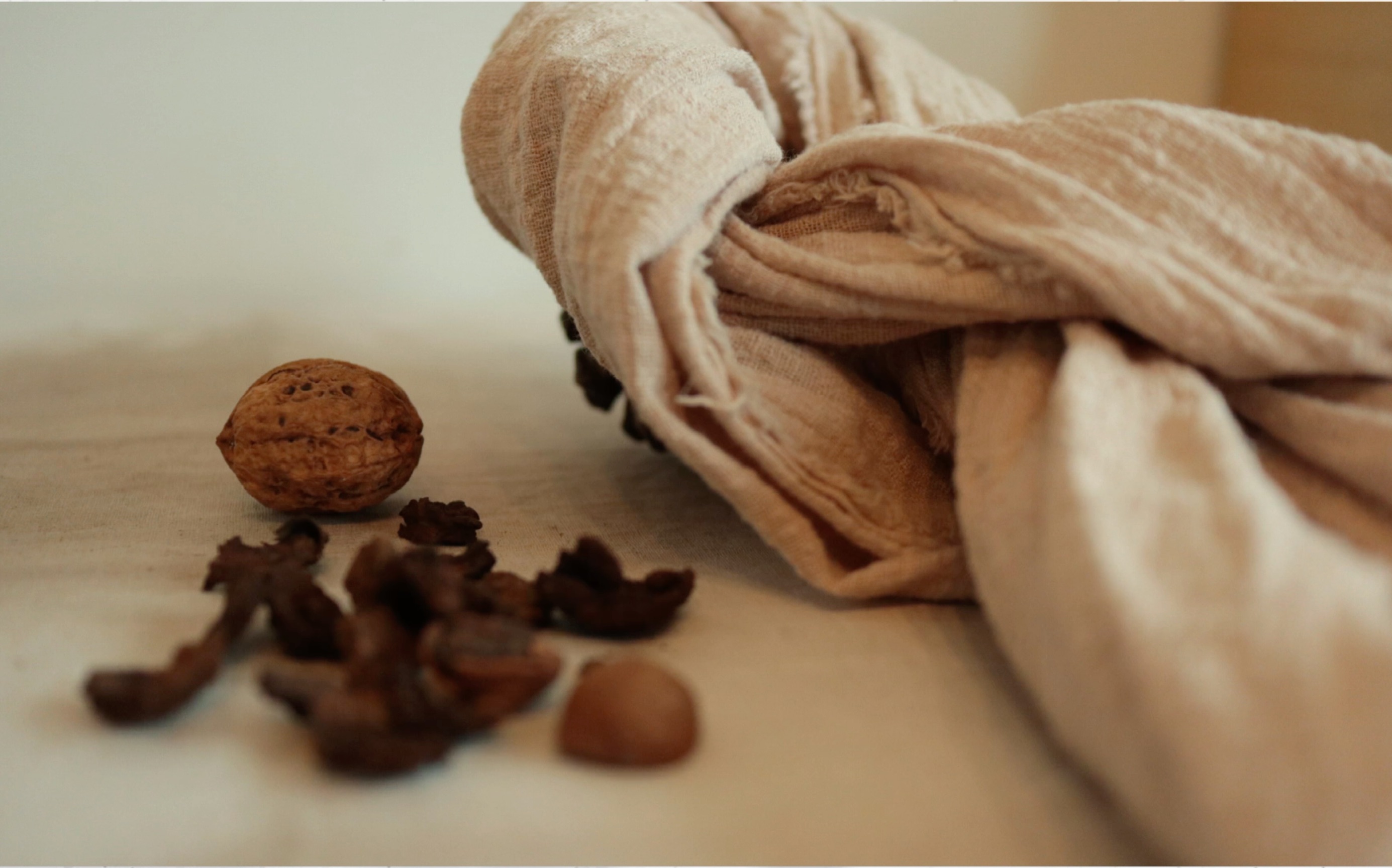 植物染|临安小核桃皮染