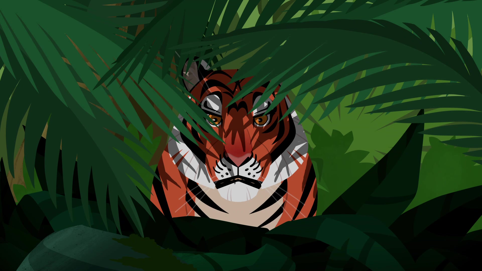 老虎# 是出色的捕猎者,拥有一流的视力,听觉,嗅觉#动物兄弟