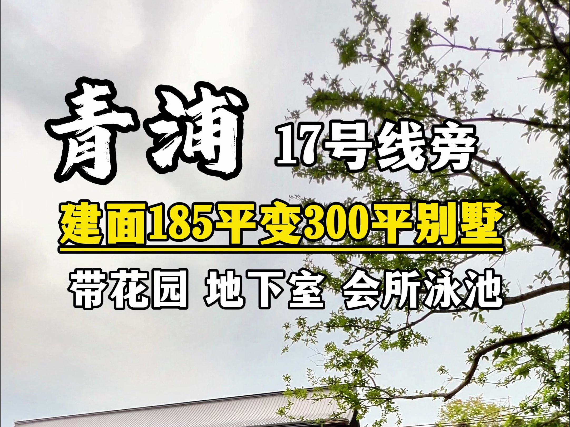 上海稀缺中式别墅实景展示来了!三轨交汇,185平秒变300平!哔哩哔哩bilibili