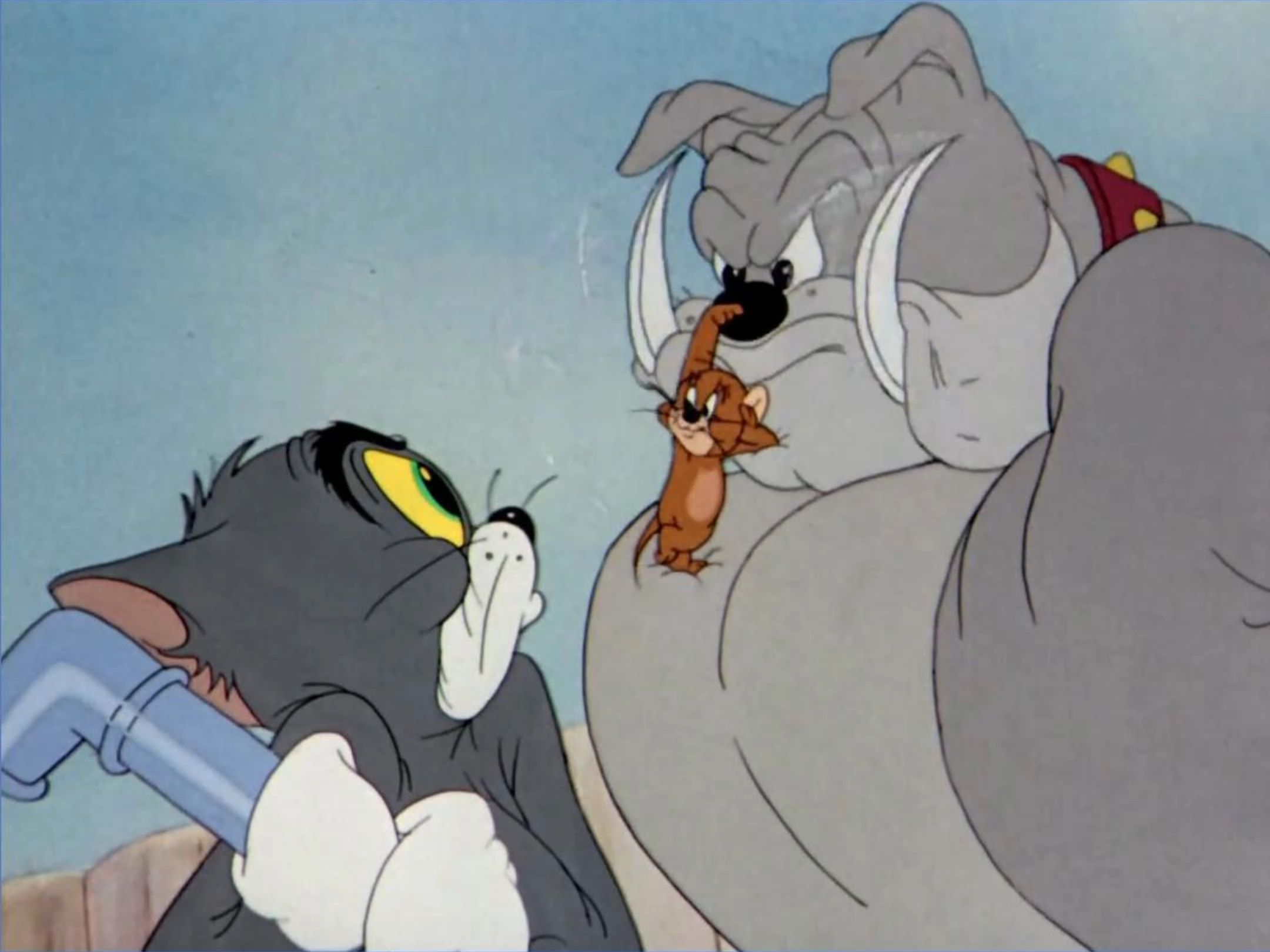 猫和老鼠的名场面