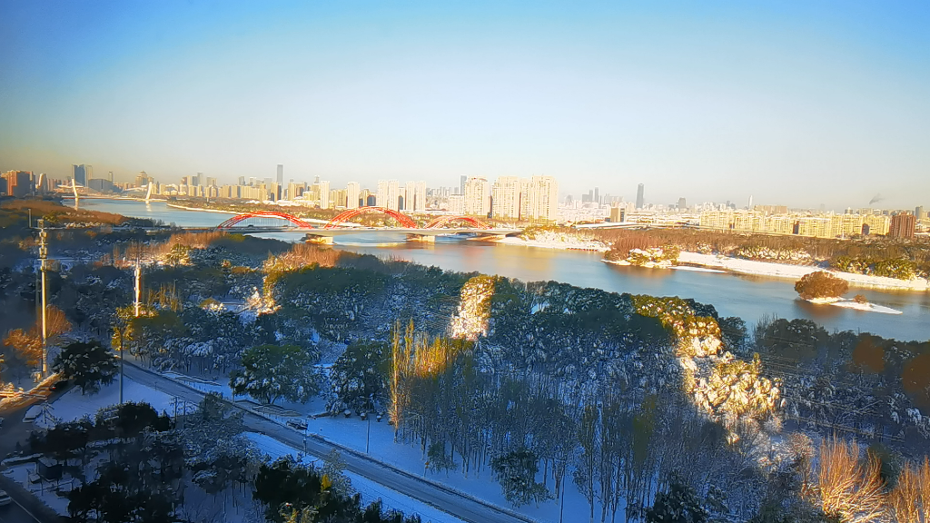 2023年11月6日,沈阳降下了今年冬天的第一场大雪,局部地区甚至是暴雪.