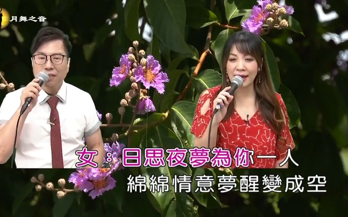 [图]翻唱闽南歌曲 雪中红