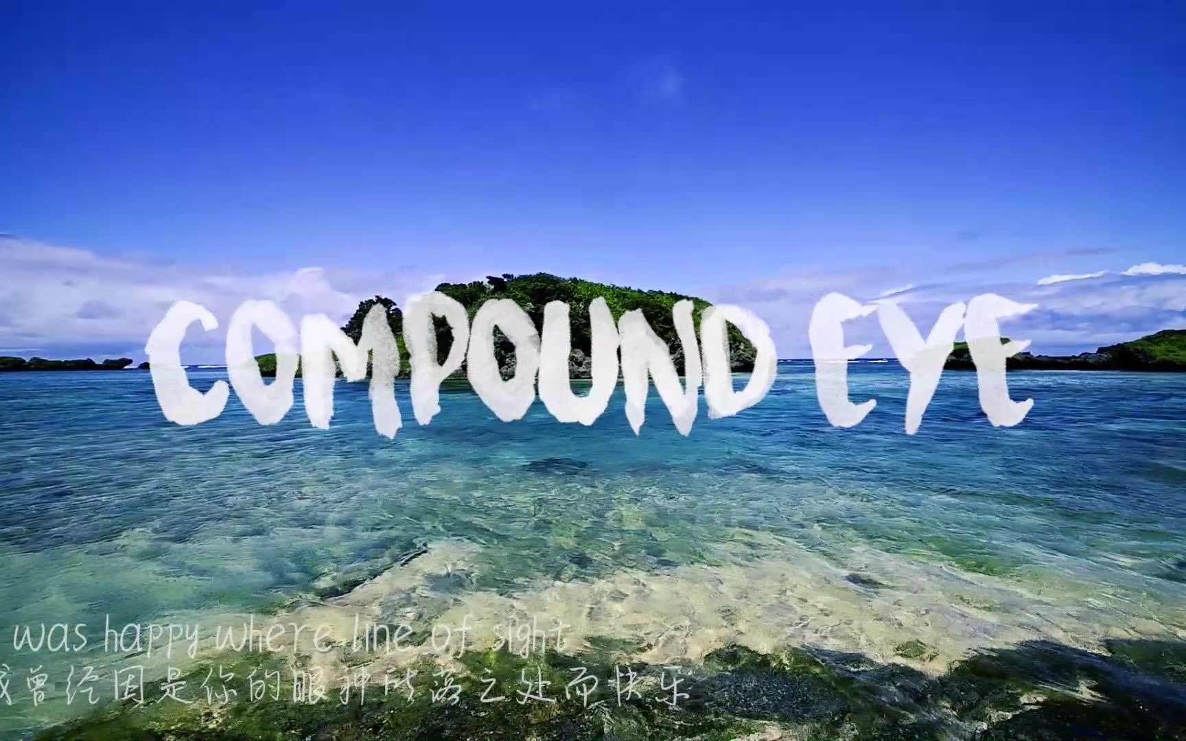 compoundeye