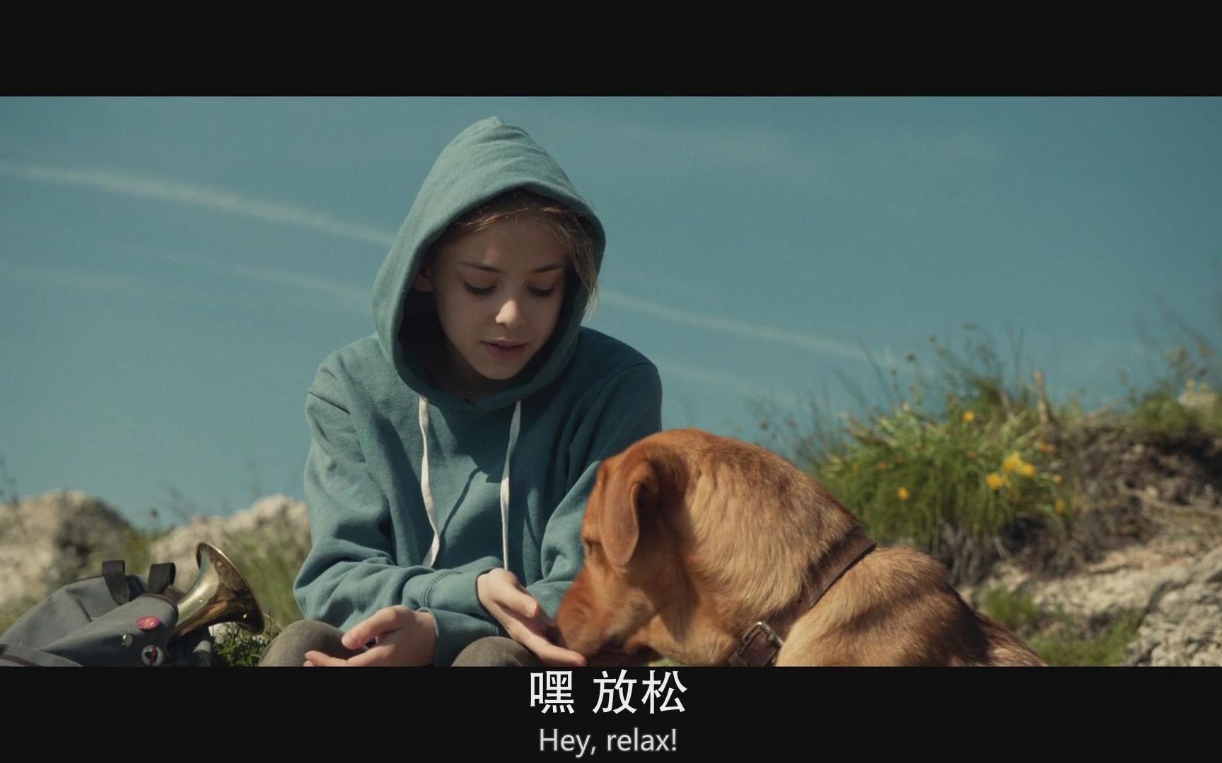 狗王一旦发火,后果很严重!