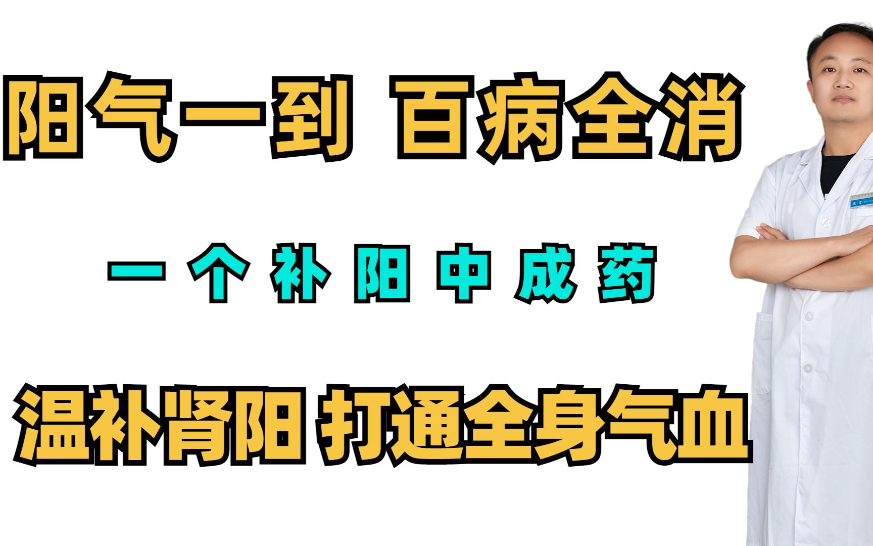 阳气一到,百病全消,一个补阳中成药,温补肾阳,打通全身气血哔哩哔哩bilibili