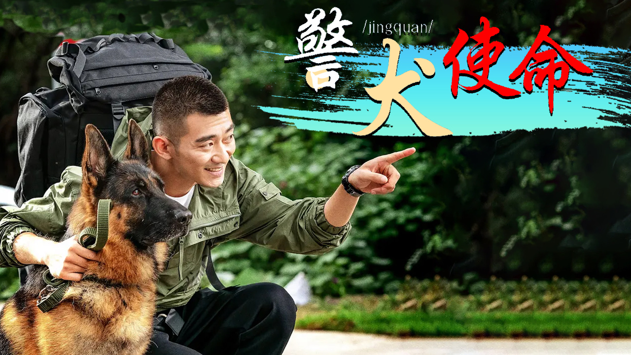 警犬的工作是伟大的,这也是它们的命运