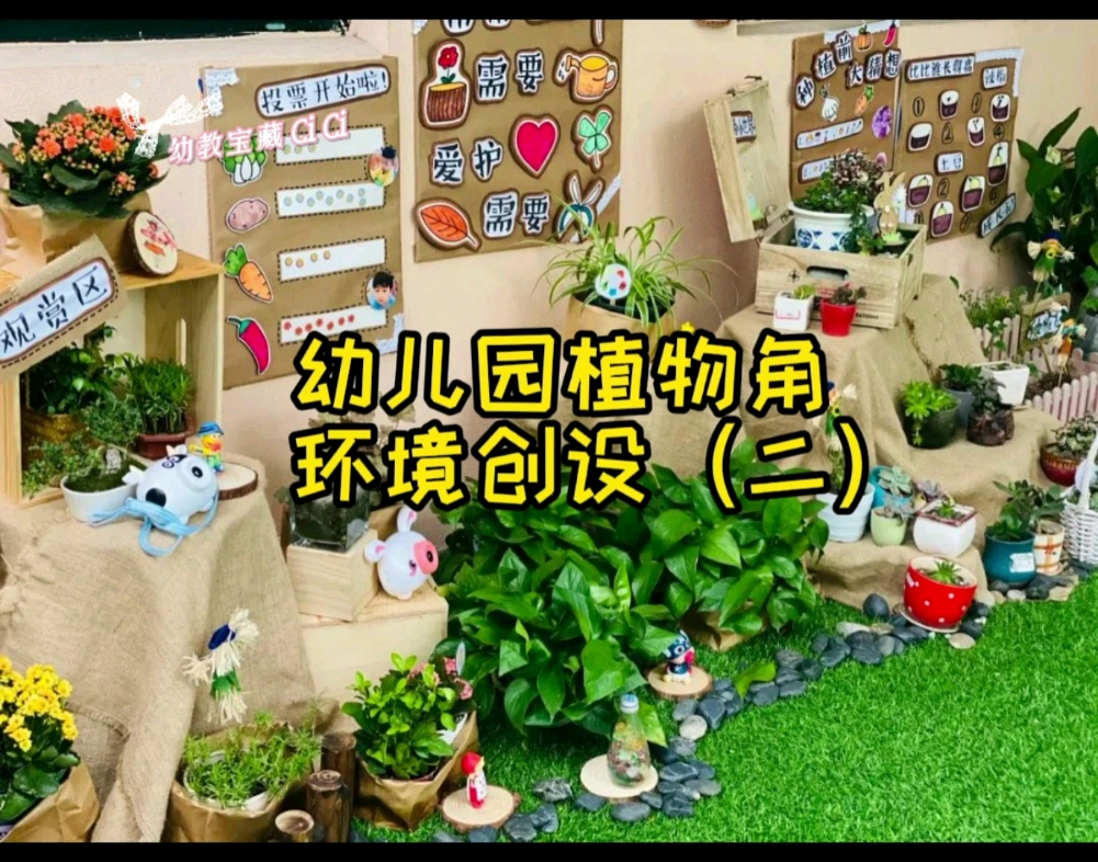 [图]幼儿园植物角环境创设：春暖花开，春天的植物角环创（二）！