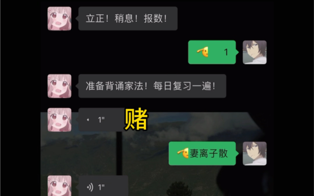 “每日家规”哔哩哔哩bilibili