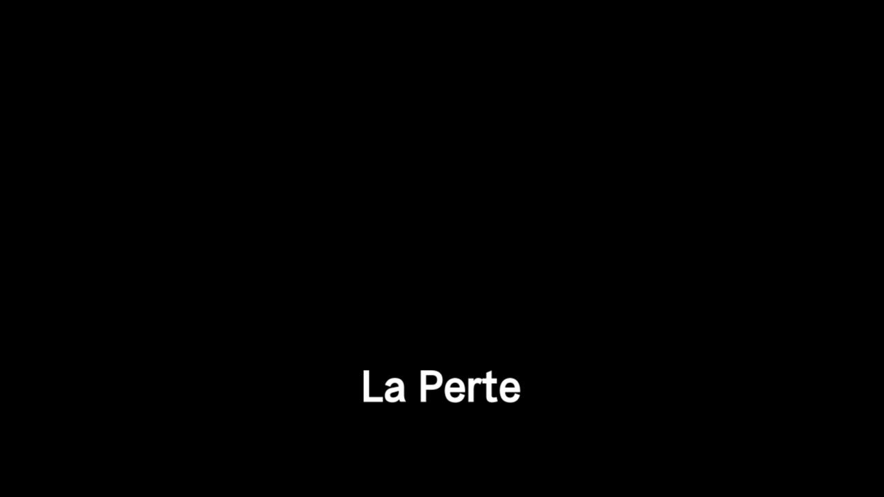 [图]朴树-La Perte