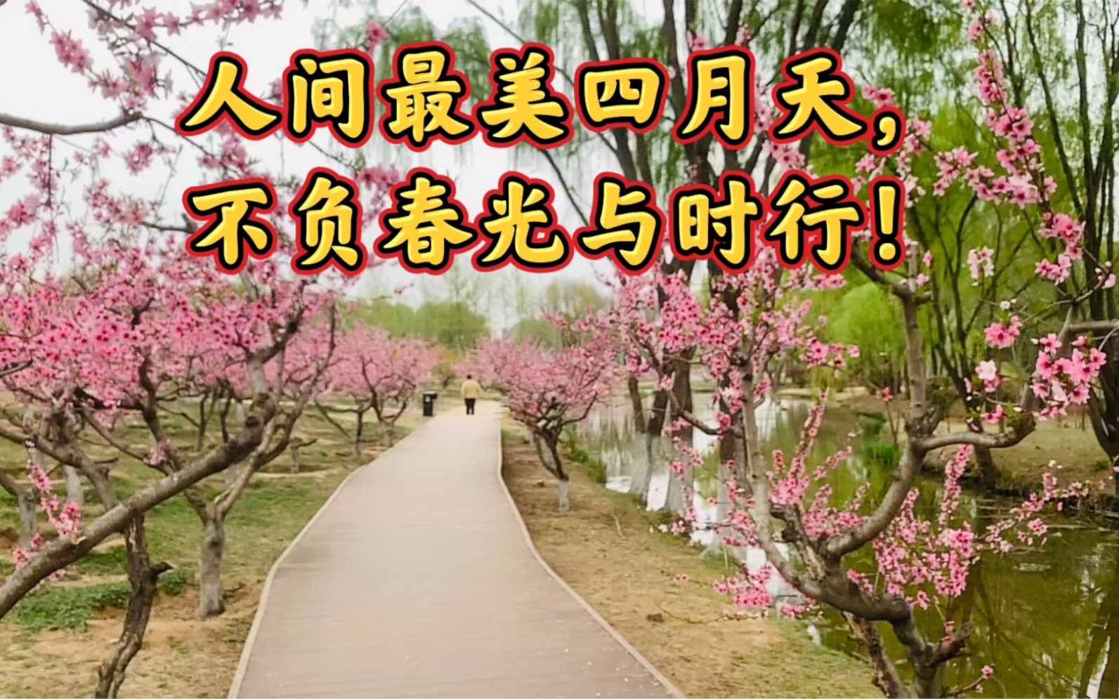 人间最美四月天,不负春光与时行!