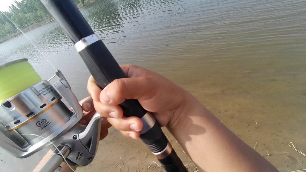 梭鱼梭鱼在哪里探钓野钓游钓试钓