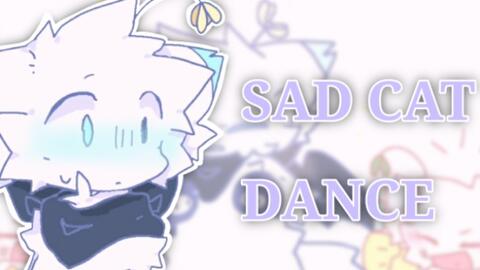 skeppyhalo/mcyt】bad的sad cat dance - BiliBili