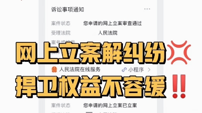 网上立案解纠纷,捍卫权益不容缓哔哩哔哩bilibili