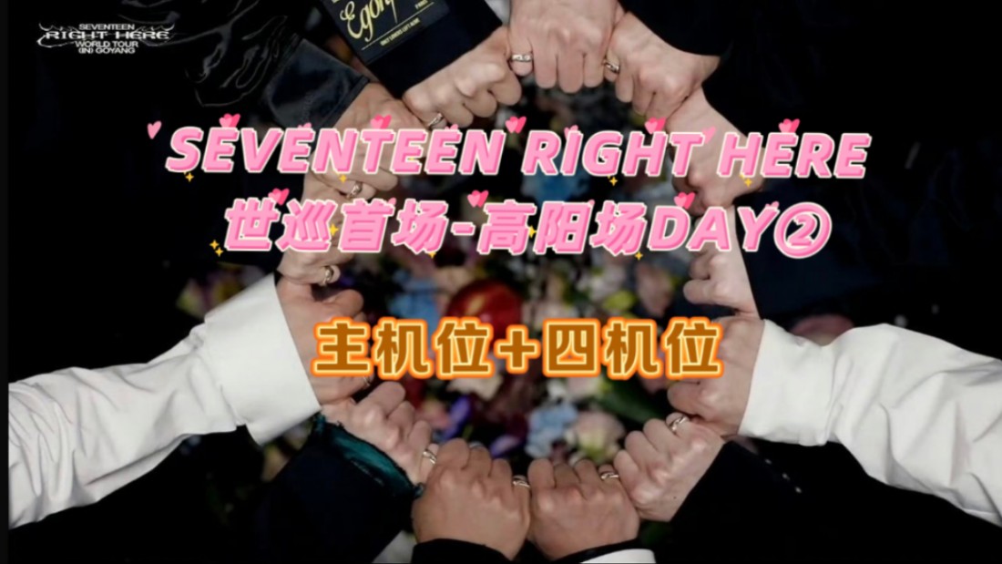 【SEVENTEEN】241013世巡首场高阳场DAY②全场主视角+四机位CC官方中字哔哩哔哩bilibili