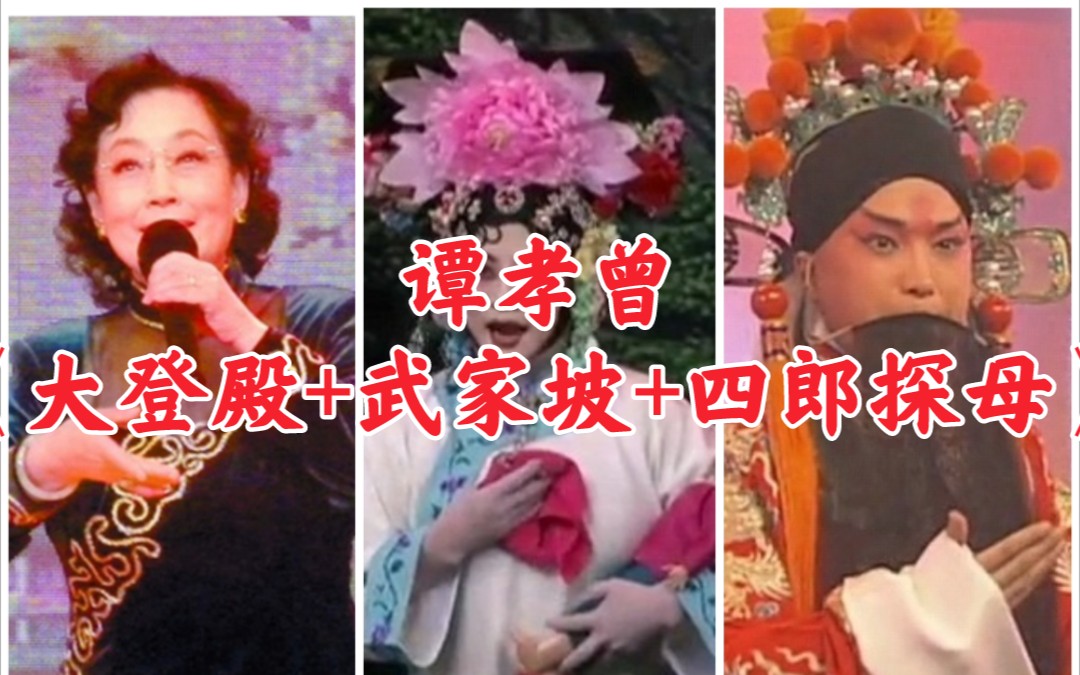 [图]【天使谭】谭孝曾与阎桂祥、魏海敏、李莉《大登殿+武家坡+四郎探母》