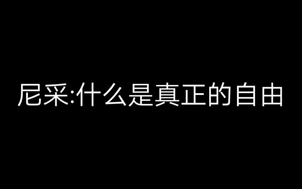 尼采:什么是真正的自由大型纪录片《尼采哲学传奇》哔哩哔哩bilibili