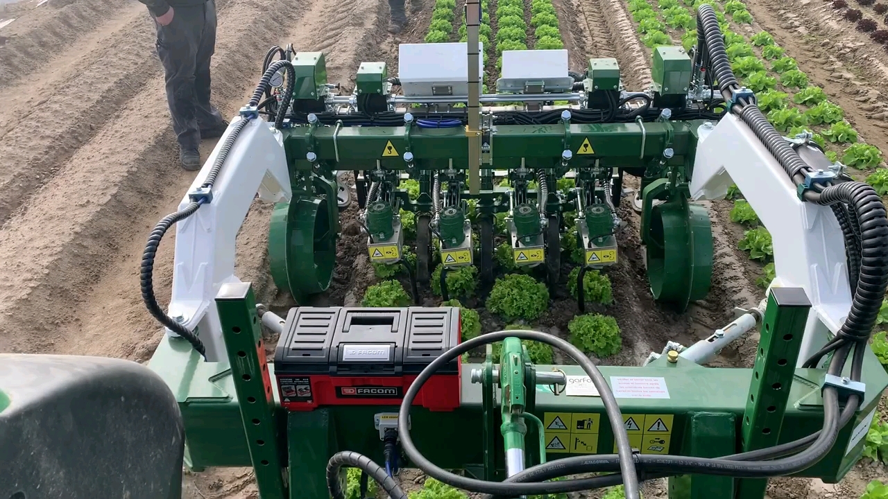 智能蔬菜除草机