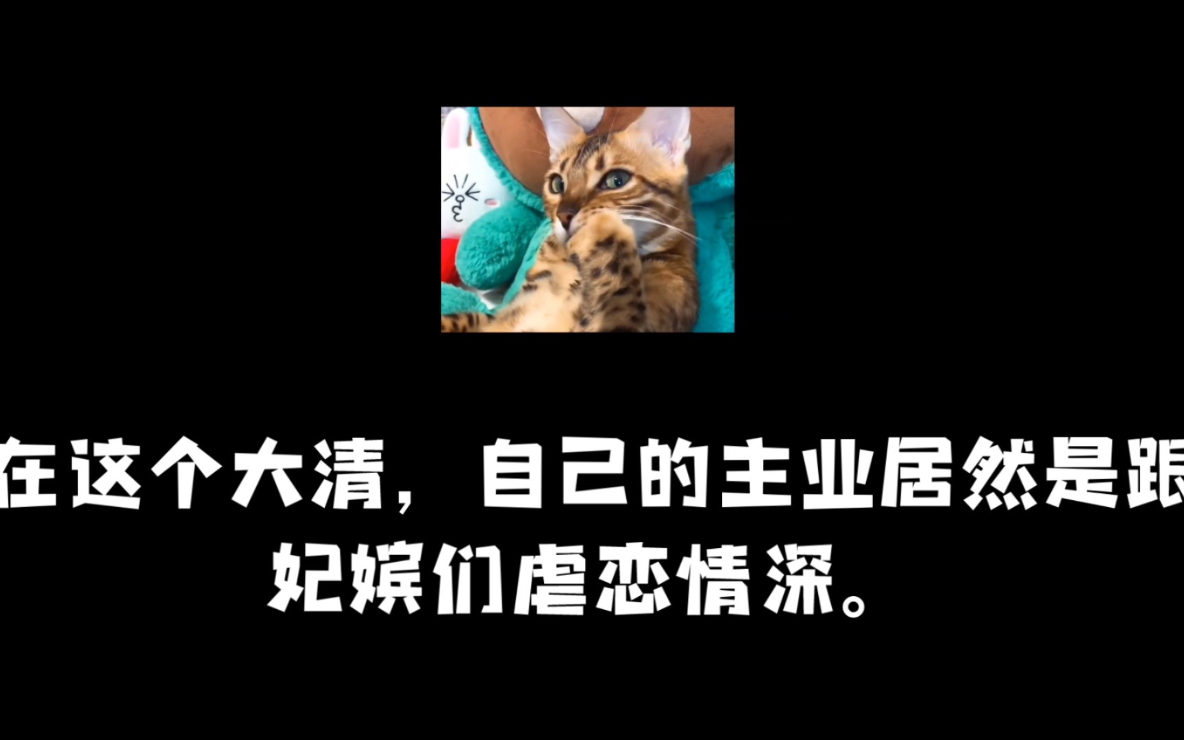 【言情推文】清穿后宫升职专家哔哩哔哩bilibili