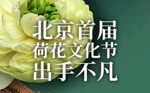 Download Video: 北京首届荷花文化节出手不凡