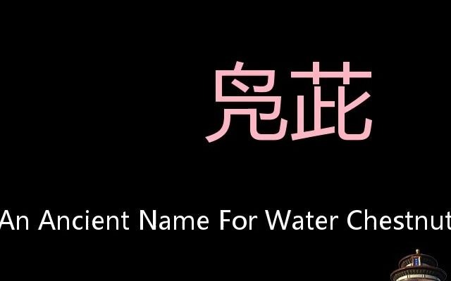 凫茈 Chinese Pronunciation an ancient name for water chestnut哔哩哔哩bilibili