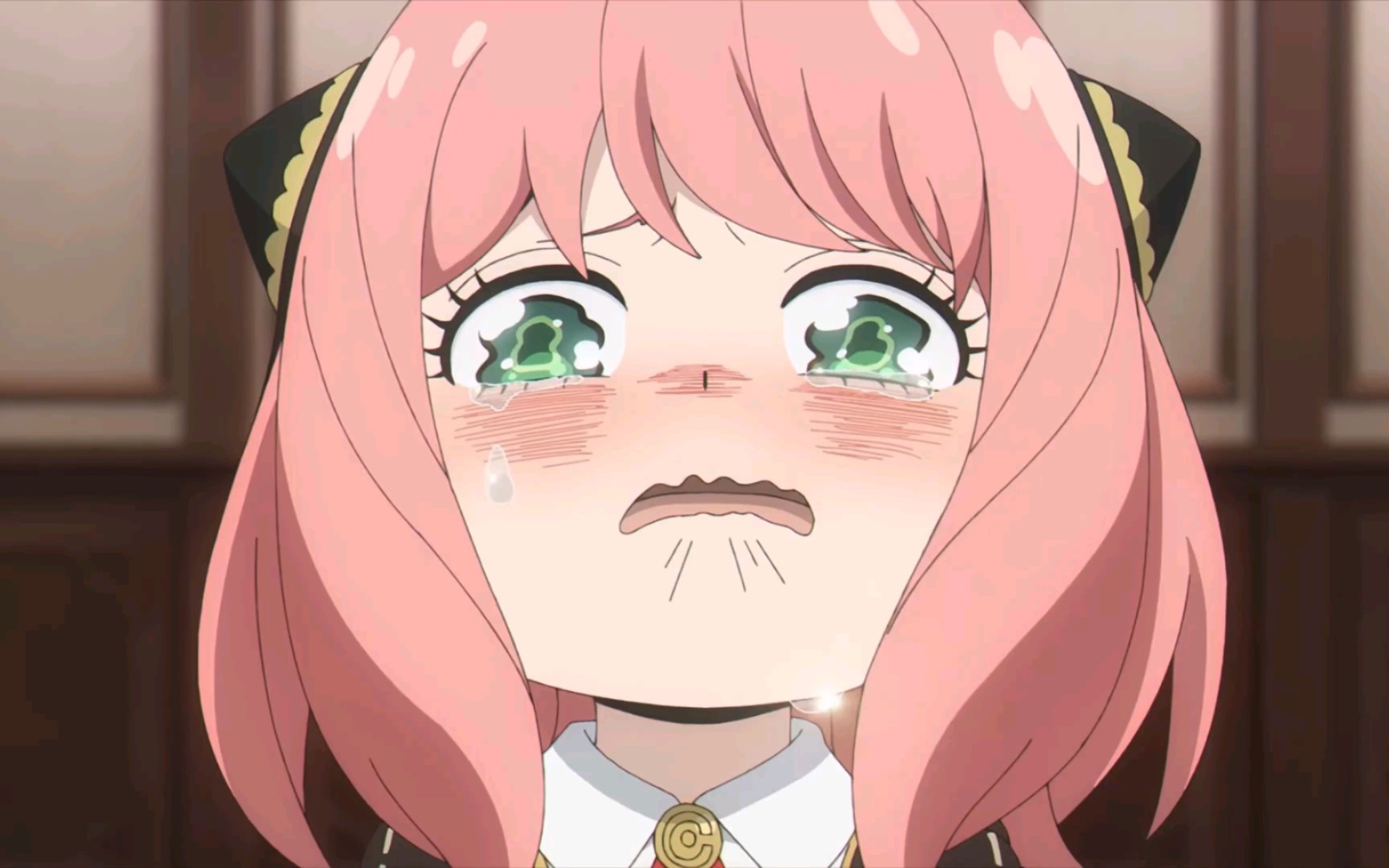 活动  阿尼亚酱:我哭哭 求抱抱