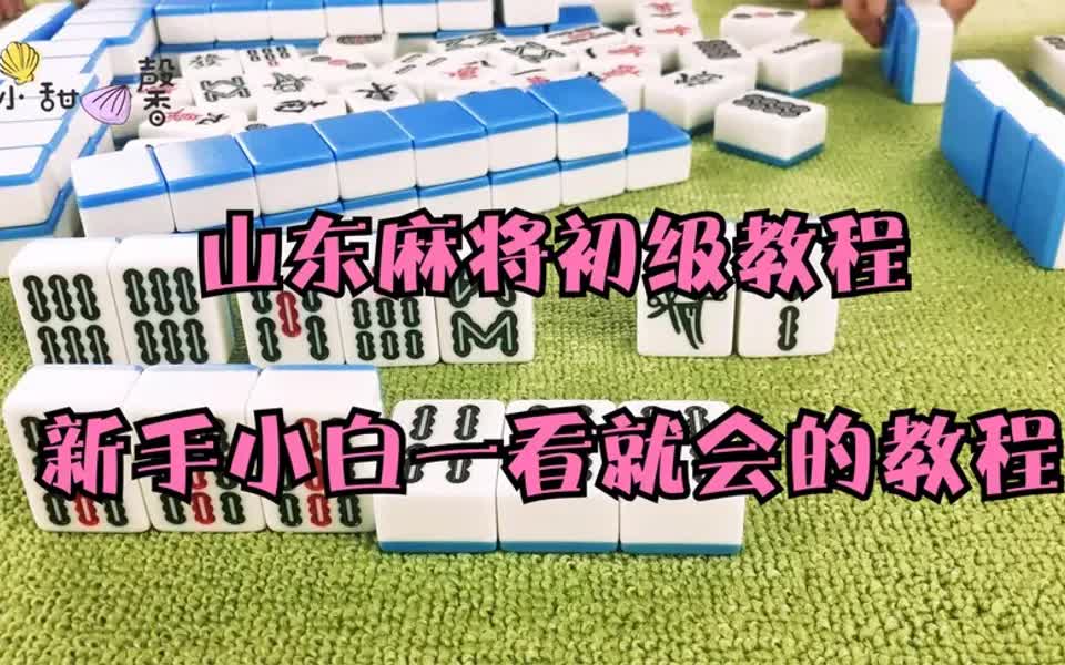 山东麻将初级教程,新手小白一看就会的实操教程!哔哩哔哩bilibili