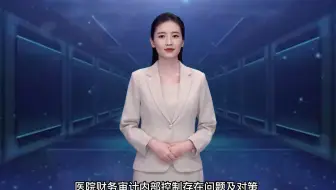 2医院财务审计内部控制存在问题及对策.mp4