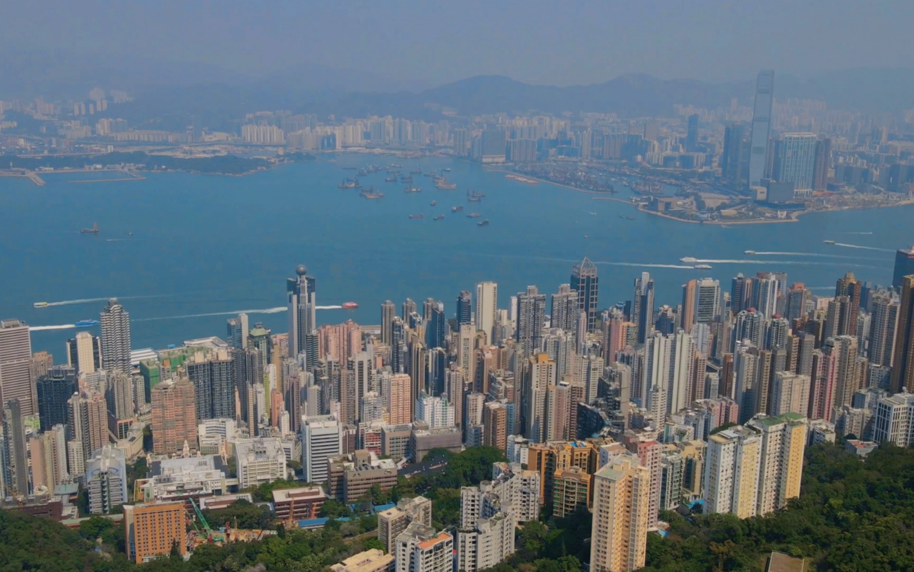 维多利亚港风景
