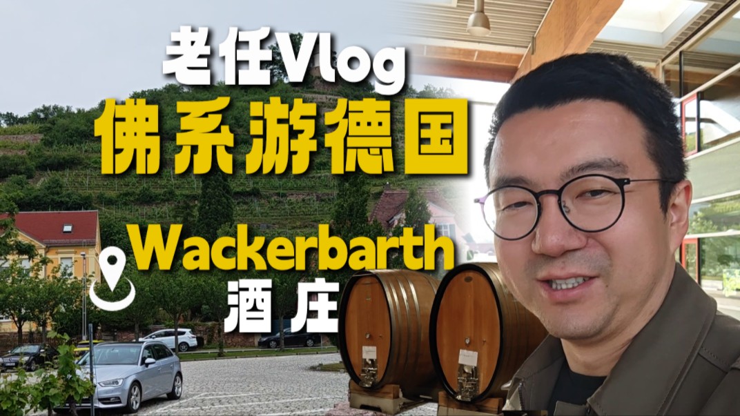 【Vlog】德国葡萄酒庄长啥样?原来卖酒的套路都是一样的!哔哩哔哩bilibili