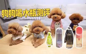 Tải video: 狗狗饮水瓶那种最好用？铲屎官真实测评，照着买就对了！