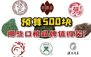 Download Video: 500预算哪些口粮品牌茶值得买？想不花冤枉钱，最好把这清单看完